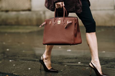 hermes birkin class action lawsuit|hermes getting sued.